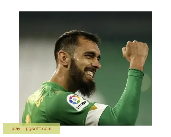 纳比尔费基尔离开五大联赛加盟阿联酋半岛俱乐部